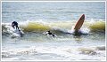 AMP-DSC01302-2_redimensionner