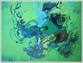 CR_vert_IMG_1648