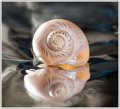 AMP_DSC04041