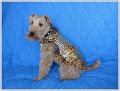 CR-IMG_1424_redimensionner