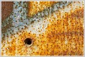 BB-DSC_0105.jpg