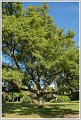 PG-DSC_0088-2