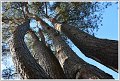 PG-DSC_0097