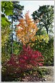 PG-DSC_0172-2