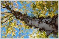 PG-DSC_0228-2