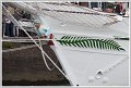 BB_photo-4071