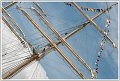 _PHG3849
