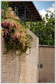 BG_Belleville-01028