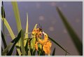 IMG_1757