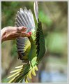 AMP_DSC08141