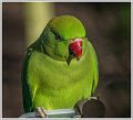 EAC_DSC_6377