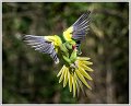EAC_DSC_6637
