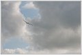 PhG__DSC0518
