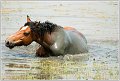 28062012-_DSC5096_1-BorderMaker
