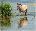 28062012-_DSC5156_1-BorderMaker