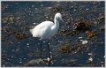 _DSC7921-BorderMaker