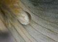 AMP-DSC07789-2