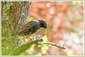 AMP_DSC00225
