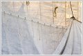 BG_Armada-01187