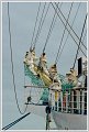 BG_Armada-01233