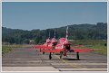 BG_redarrows_DSC08327
