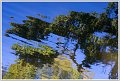 BG-Refletsmaul-11