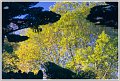 BG-Refletsmaul-17