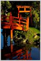 BG-Refletsmaul-24