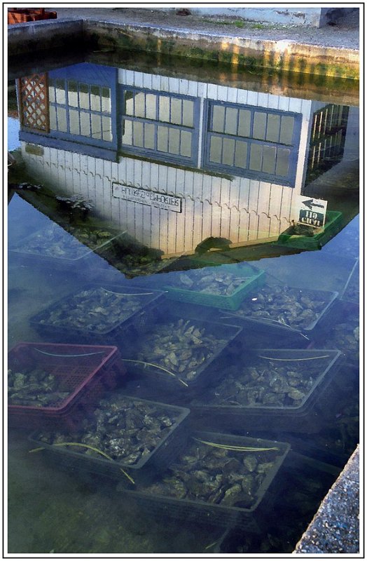 BG-huitres-1.jpg