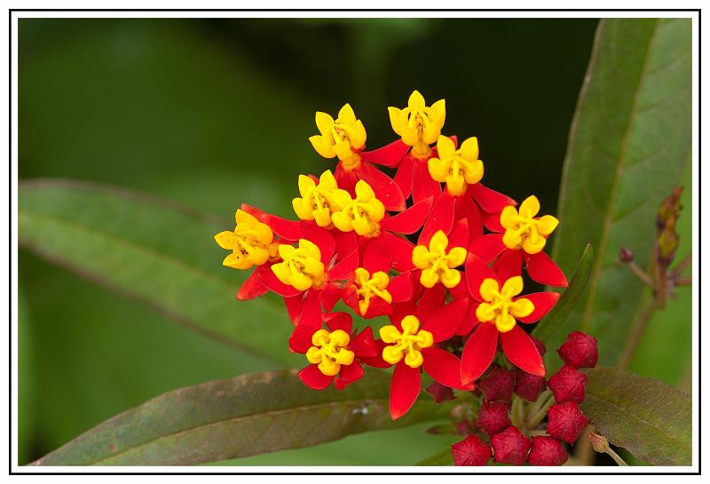 PICT0040.jpg