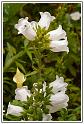 PICT0024