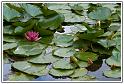 PICT0036