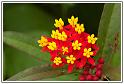 PICT0040