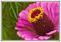 PICT0041