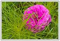 PICT0043