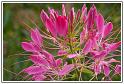 PICT0045