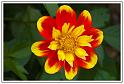 PICT0046