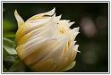 PICT0052