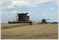 JCS_IMG_1158