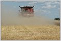 JCS_IMG_1164