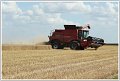 JCS_IMG_1194