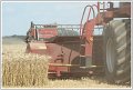 JCS_IMG_1200