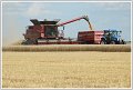 JCS_IMG_1203