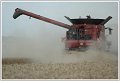 JCS_IMG_1233