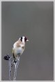 5D4_0239_DxO