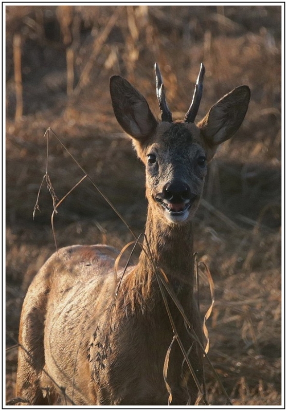souriez.jpg