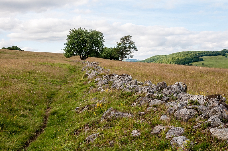 _DSC2099.jpg