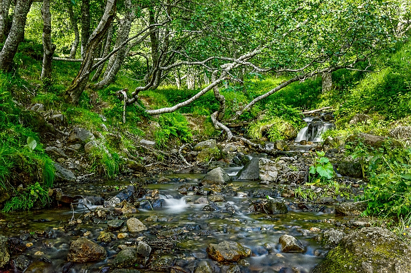 _DSC2300-1_RT.jpg