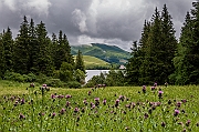 _DSC1859
