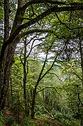 _DSC1943